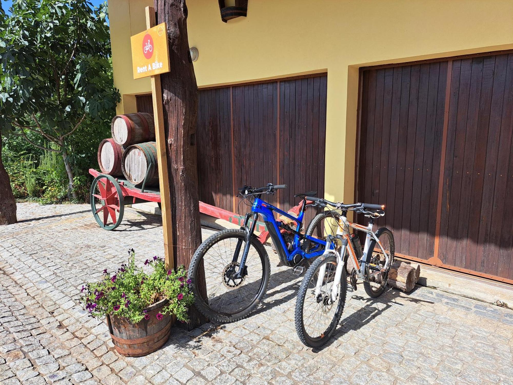 Quinta De Carcavelos Agroturismo E Enoturismo Celorico De Basto Εξωτερικό φωτογραφία